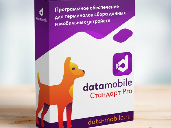 DataMobile Стандарт Pro