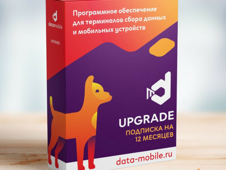 DataMobile Upgrade — подписка на 12 месяцев